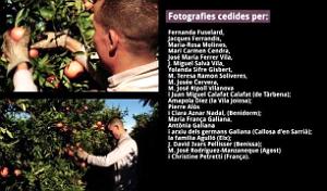 VALENCIENS EN ALGERIE 528